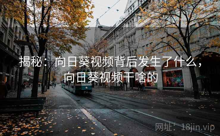 揭秘：向日葵视频背后发生了什么，向日葵视频干啥的